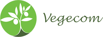 vegecom.am